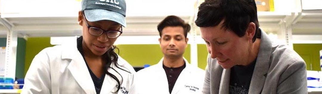 male and female students working in biomedical engineering lab