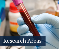 Research areas in bioengineering graduate program