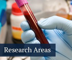 Bioengineering and biomedical engineering research areas