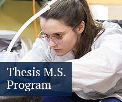 thesis m s program