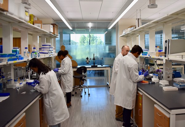 students working in a lab