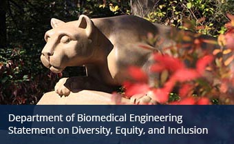Department of Biomedical Engineering Statement on Diversity, Equity, and Inclusion