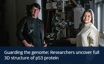 Guarding the genome: Researchers uncover full 3D structure of p53 protein