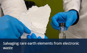 Salvaging rare earth elements from electronic waste