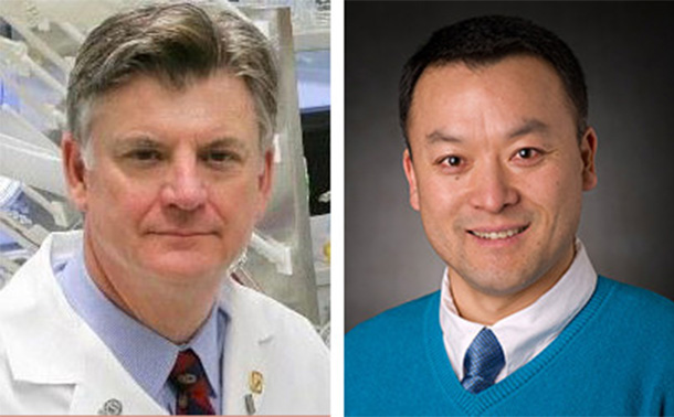 Henry Donahue (left) and Yong Wang (right) have been awarded the Grace Woodward Grant for Collaborative Research in Engineering and Medicine. 