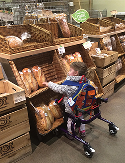 Lucy at Wegmans