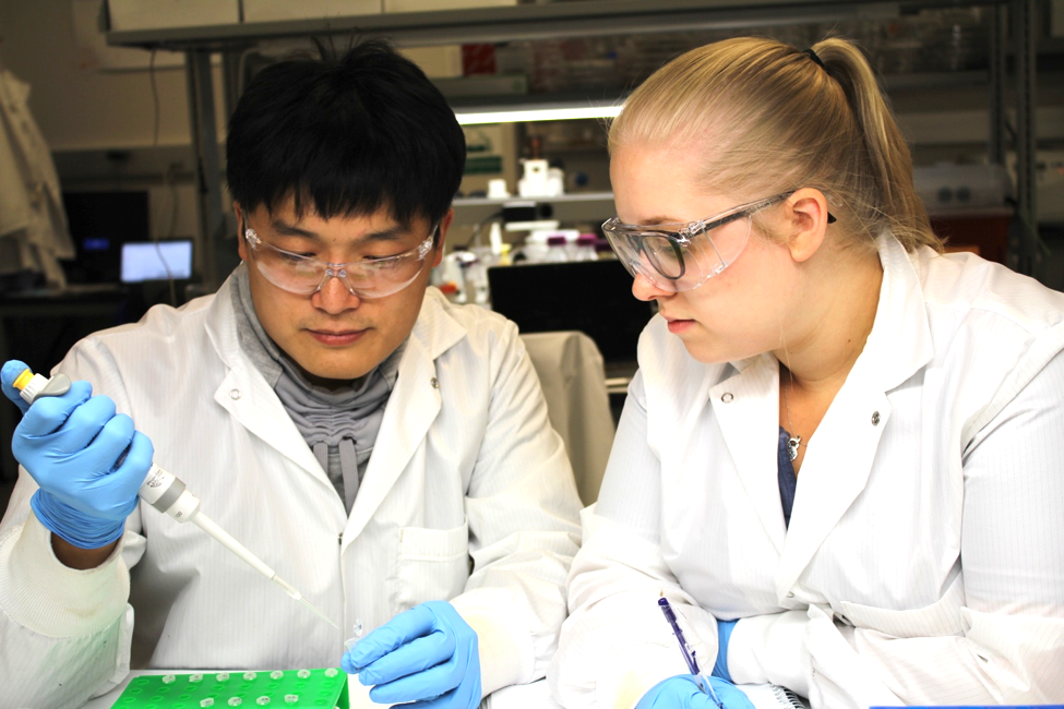 Two students working in the lab