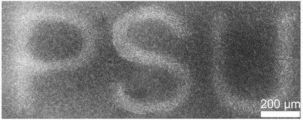 A hydrogel undergoing programmed degradation with the PSU pattern