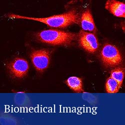 button: biomedical imaging