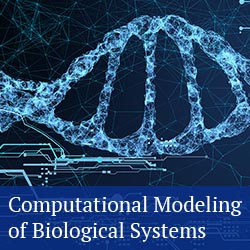 button: computational modeling of biological systems