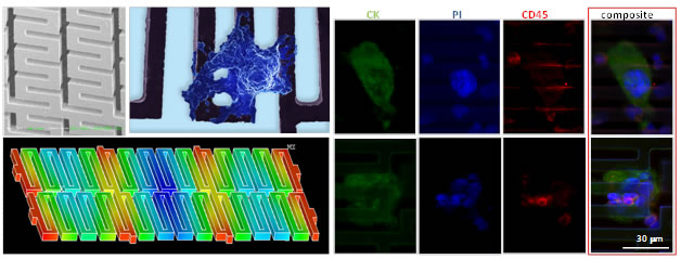 Circulating Tumor Cell enrichment and analysis