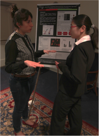 Two students discussing research during a poster session at symposium