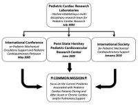 Chart of timeline of the Pediatric Cardiac Research initiative
