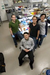 Dr. Siyang Zheng's research group around system.