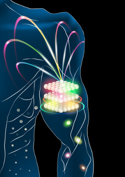 Cartoon drawing for prostate research