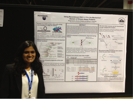 Penn State student presenting research at BMES