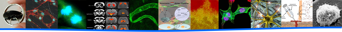 Various images representing research in Bioengineering