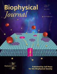 Cover by Majd Lab for Biophysical Journal